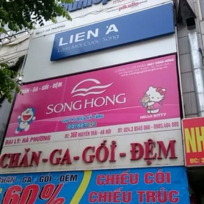 Mách bạn cách chọn mua đệm bông ép tốt nhất