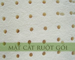 goi-cao-su-van-thanh-bolster