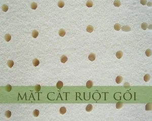 goi-cao-su-van-thanh-bolster