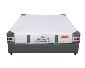 Đệm lò xo túi Adaptive