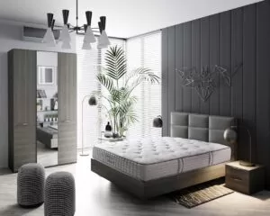 Đệm Sông Hồng Thế Hệ Thứ 4 - Back Essential