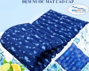 Đệm nước Mimosa KT 75 x 150cm