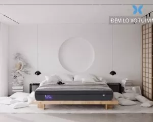 Đệm lò xo Vimatt 24cm